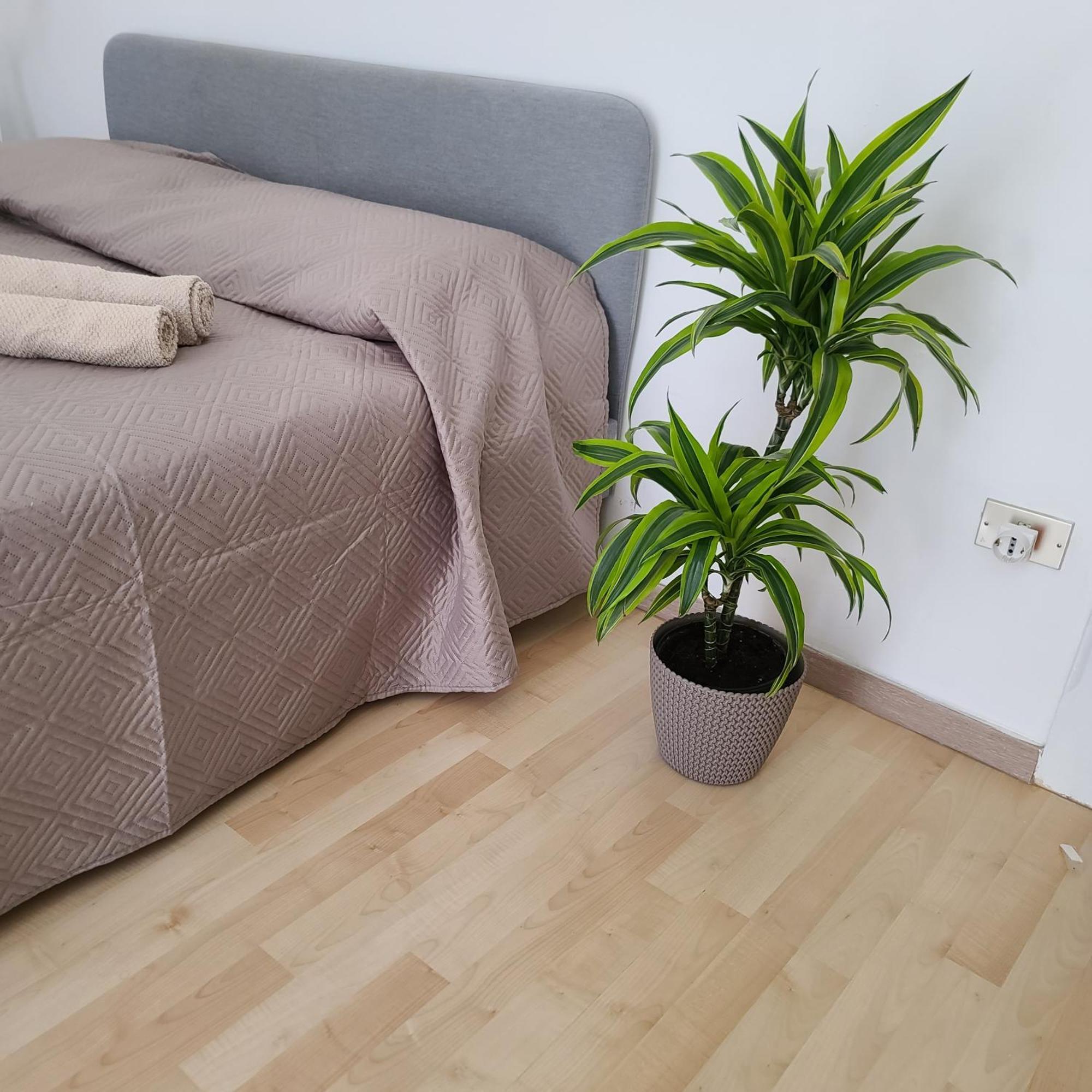 Mariamora Apartment Bari Exteriör bild